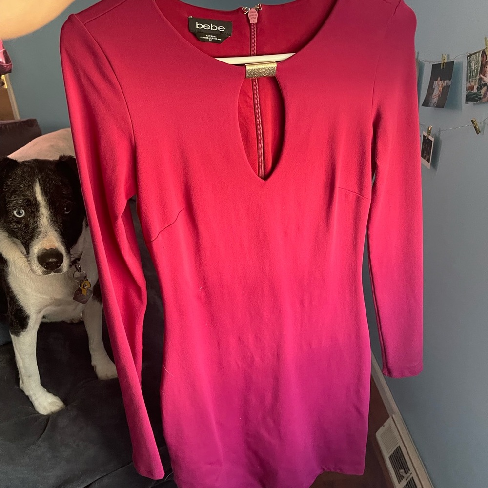 Bebe Dress - Picture 2 of 6